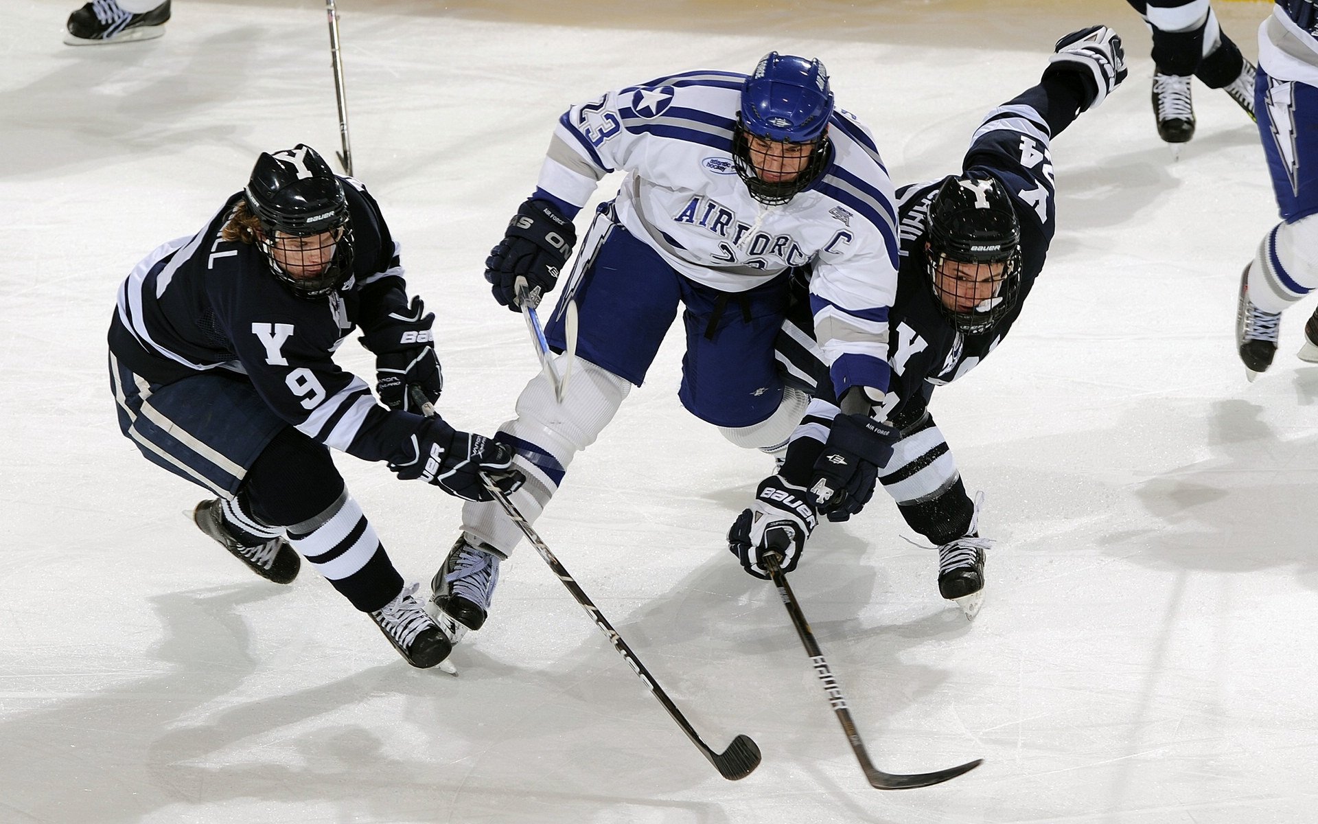 F1年度争冠焦点战，老鹰狂胜辽宁队的启示