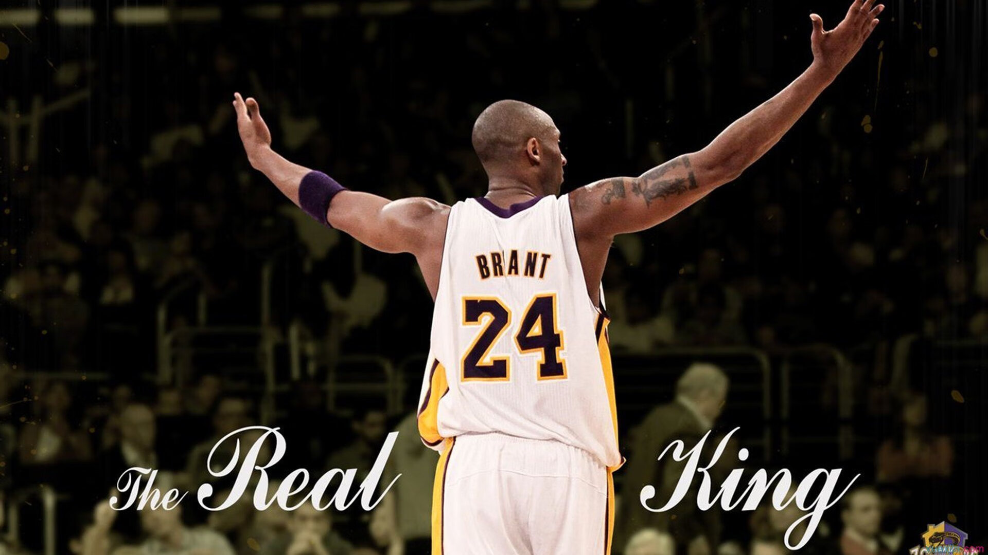 赛道上的新纪元，皮亚斯特里刷新纪录，迈凯伦鏖战红牛